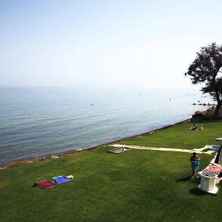 Maria Mare Аргаси